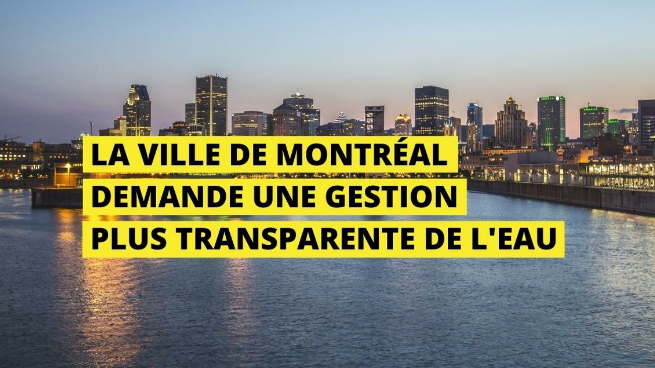 Algues bleues - Québec a un problème de transparence