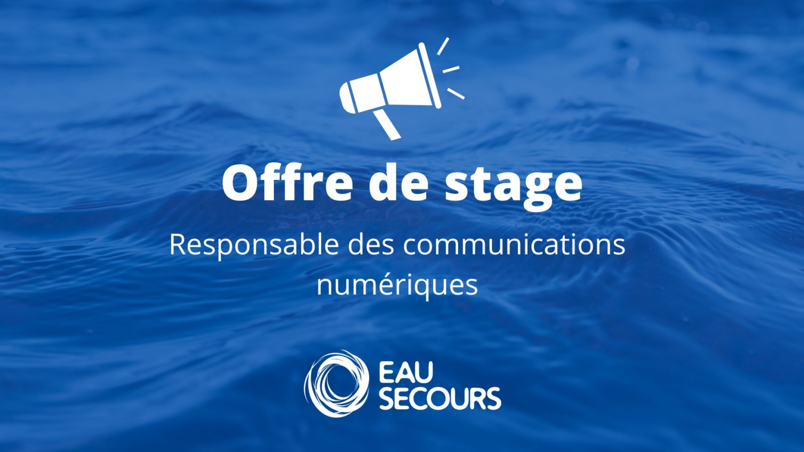 offre-de-stage-communications-numeriques