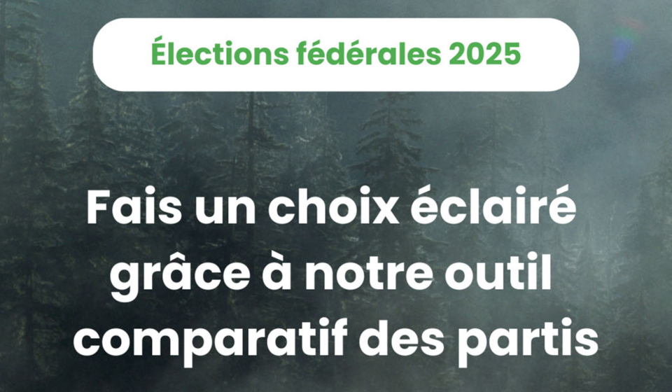 Visuels VauV élections 2025 - Cdp consensus | 4 avril 2025