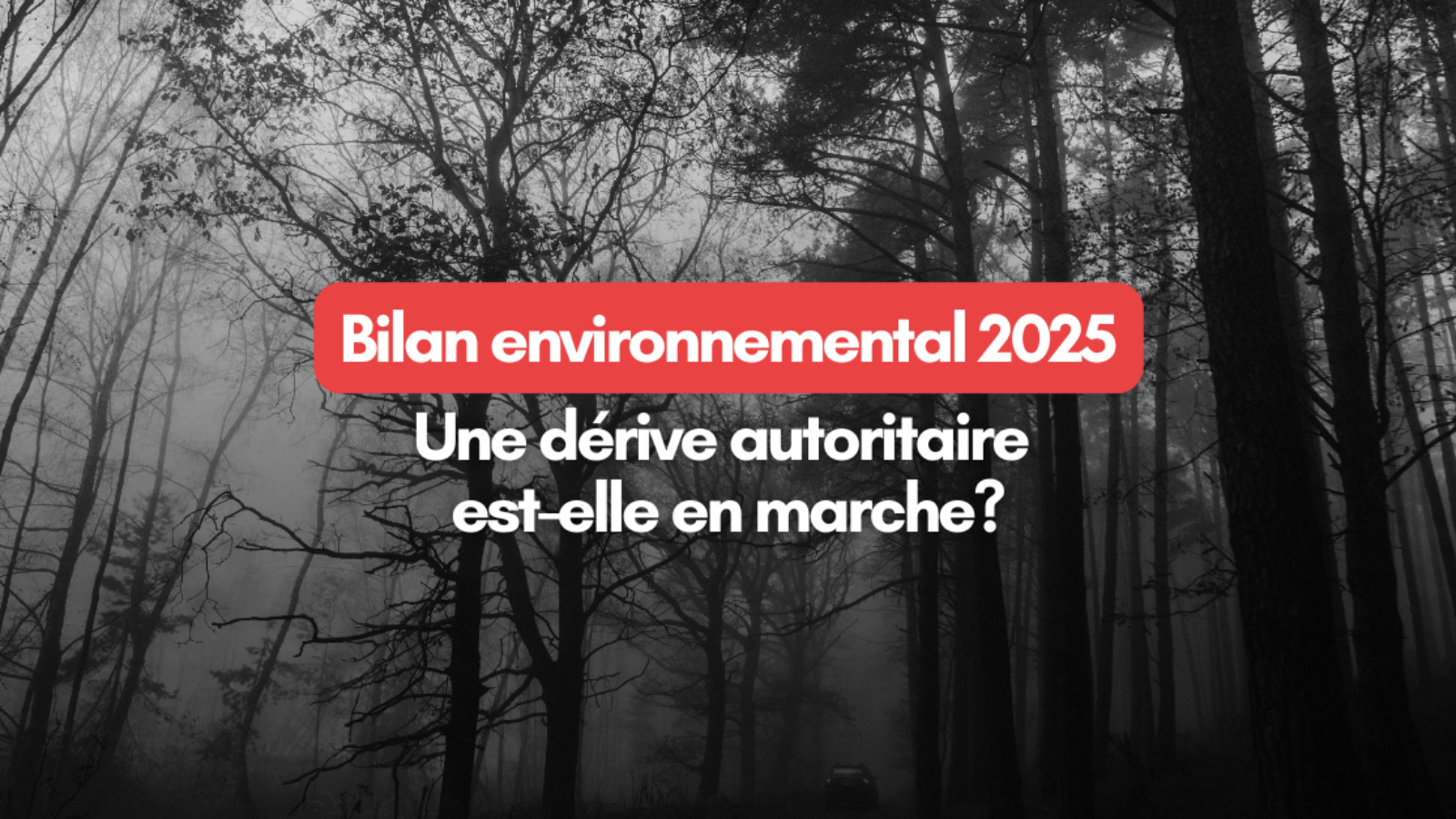 2025-12-08 CP Bilan – LinkedIn et Bluesky