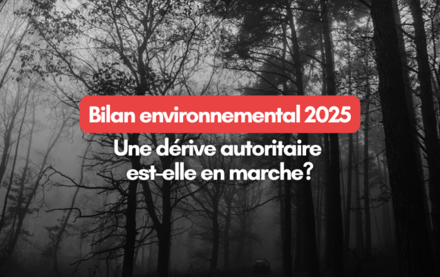 2025-12-08 CP Bilan – LinkedIn et Bluesky