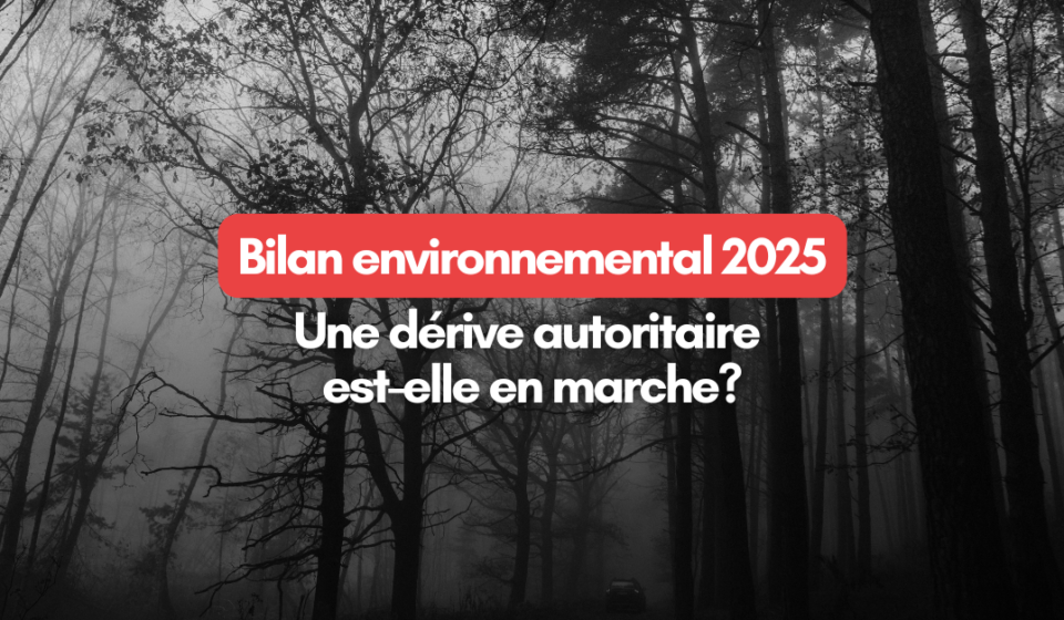 2025-12-08 CP Bilan – LinkedIn et Bluesky