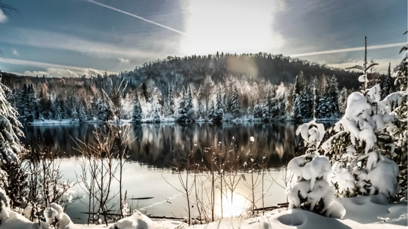 entete-article bilan-1