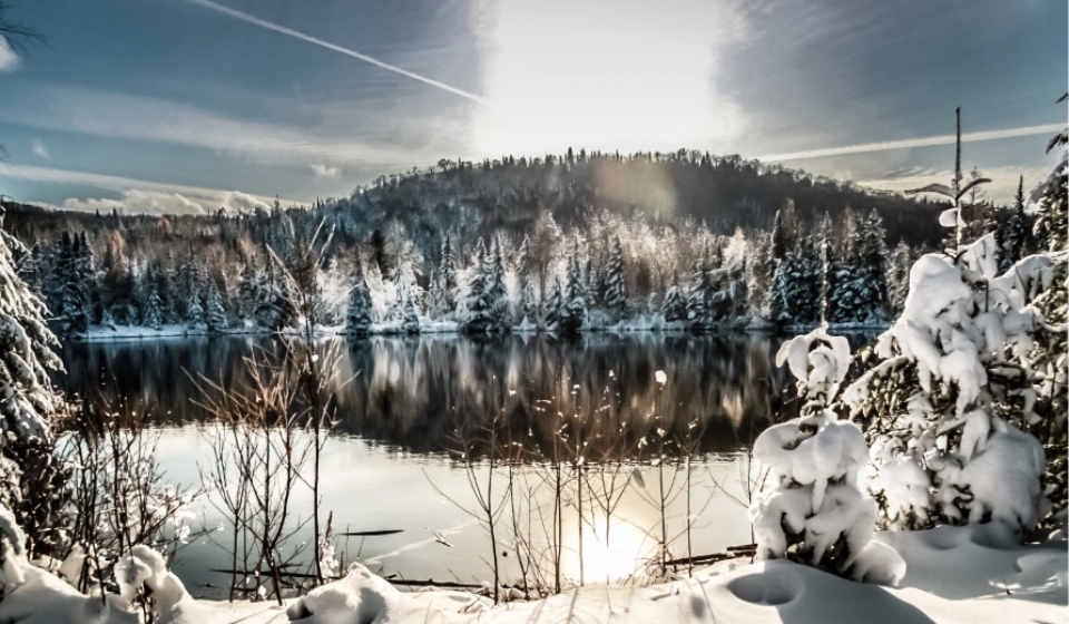 entete-article bilan-1