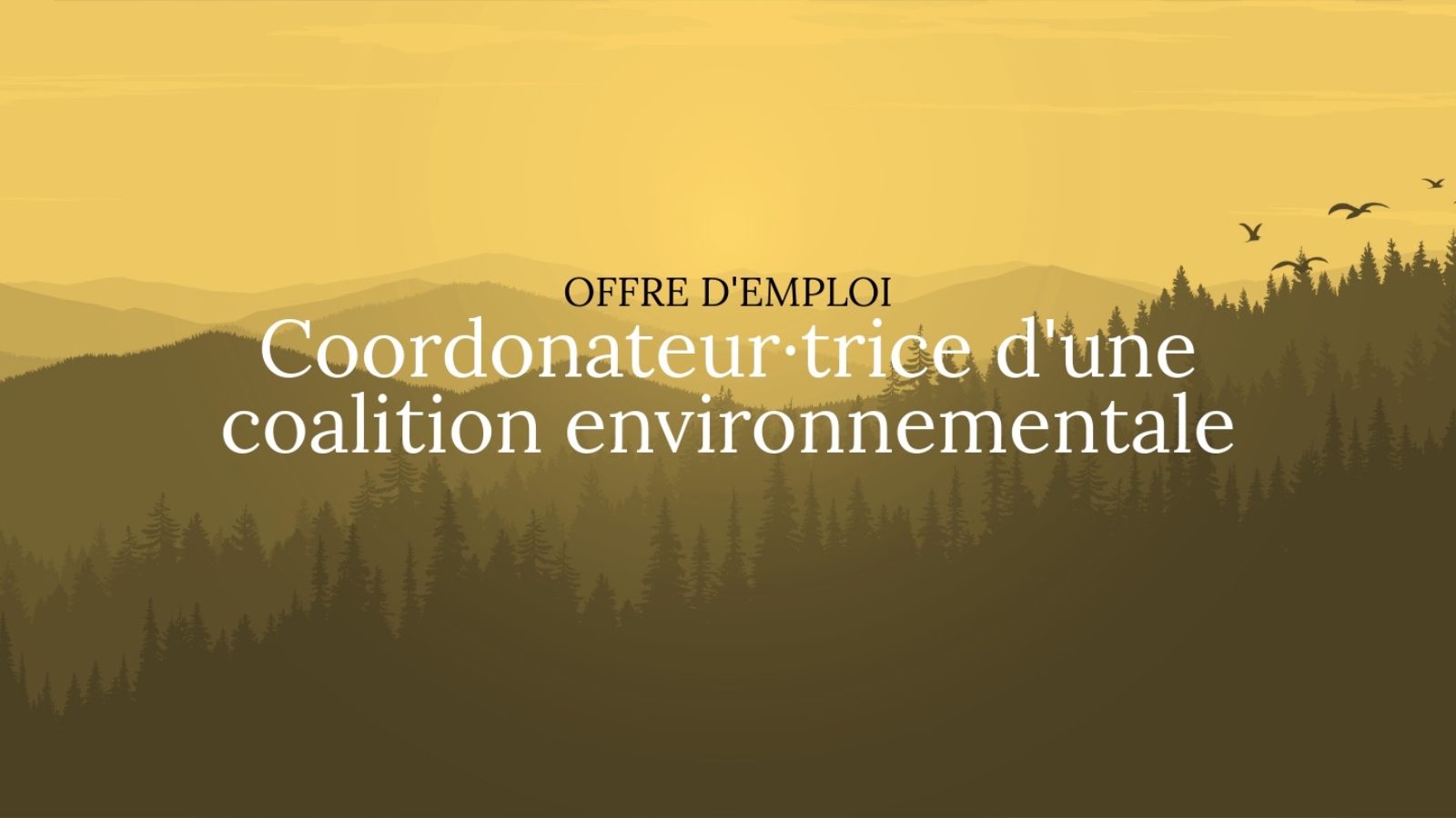 emploi-coordo-coalition-dd