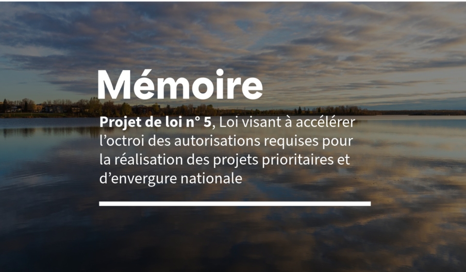 mémoire-pl5_eau-secours