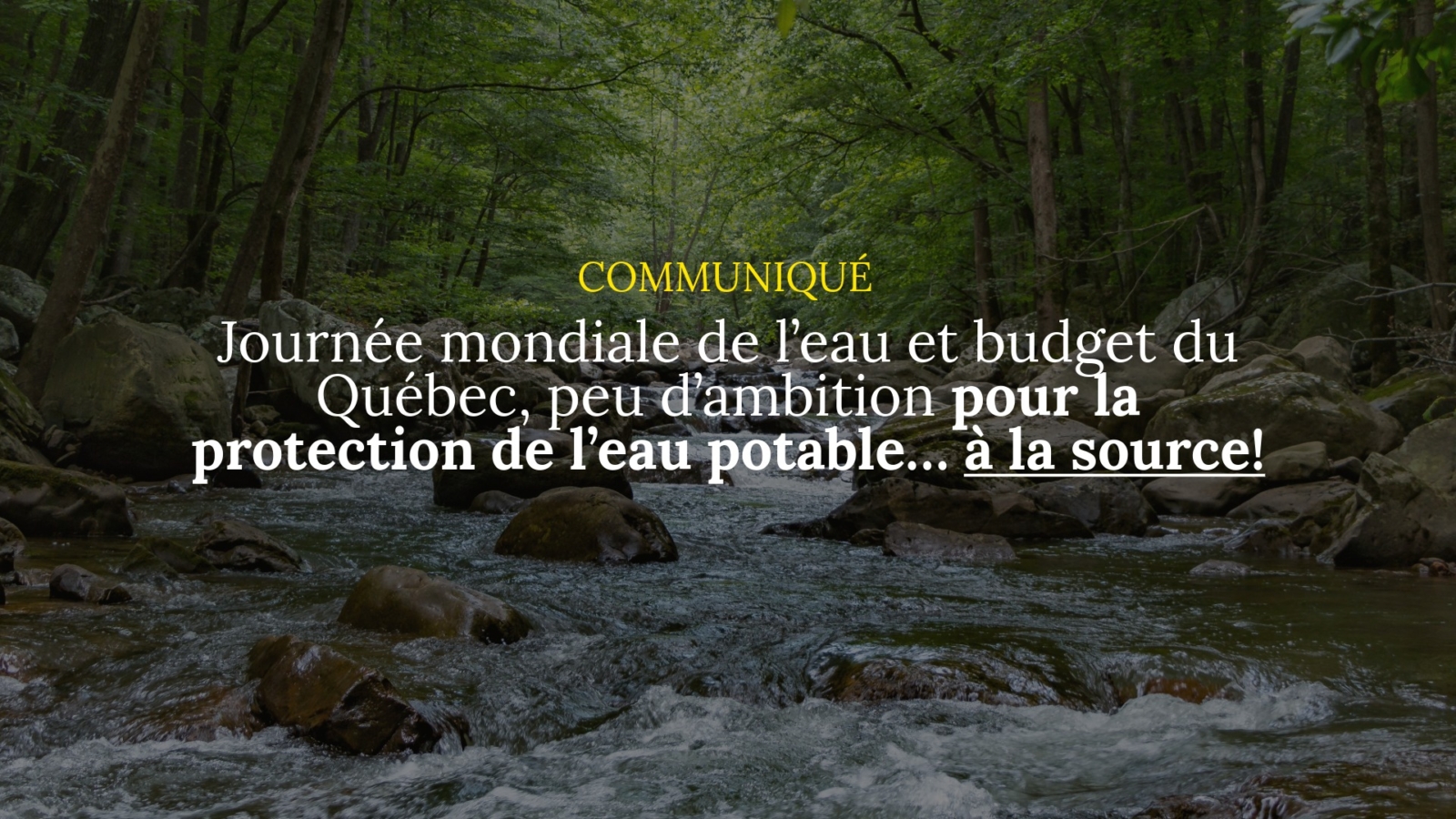 Réaction budget + JME