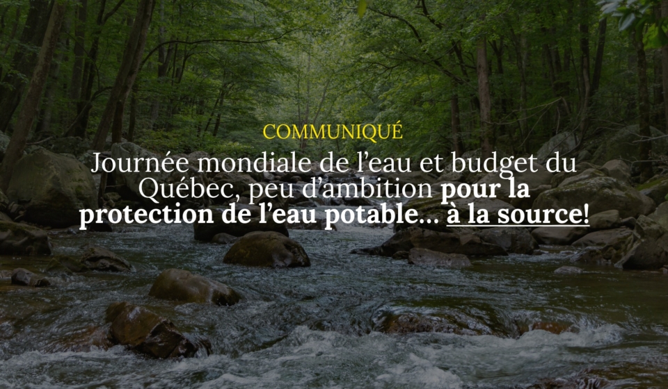 Réaction budget + JME