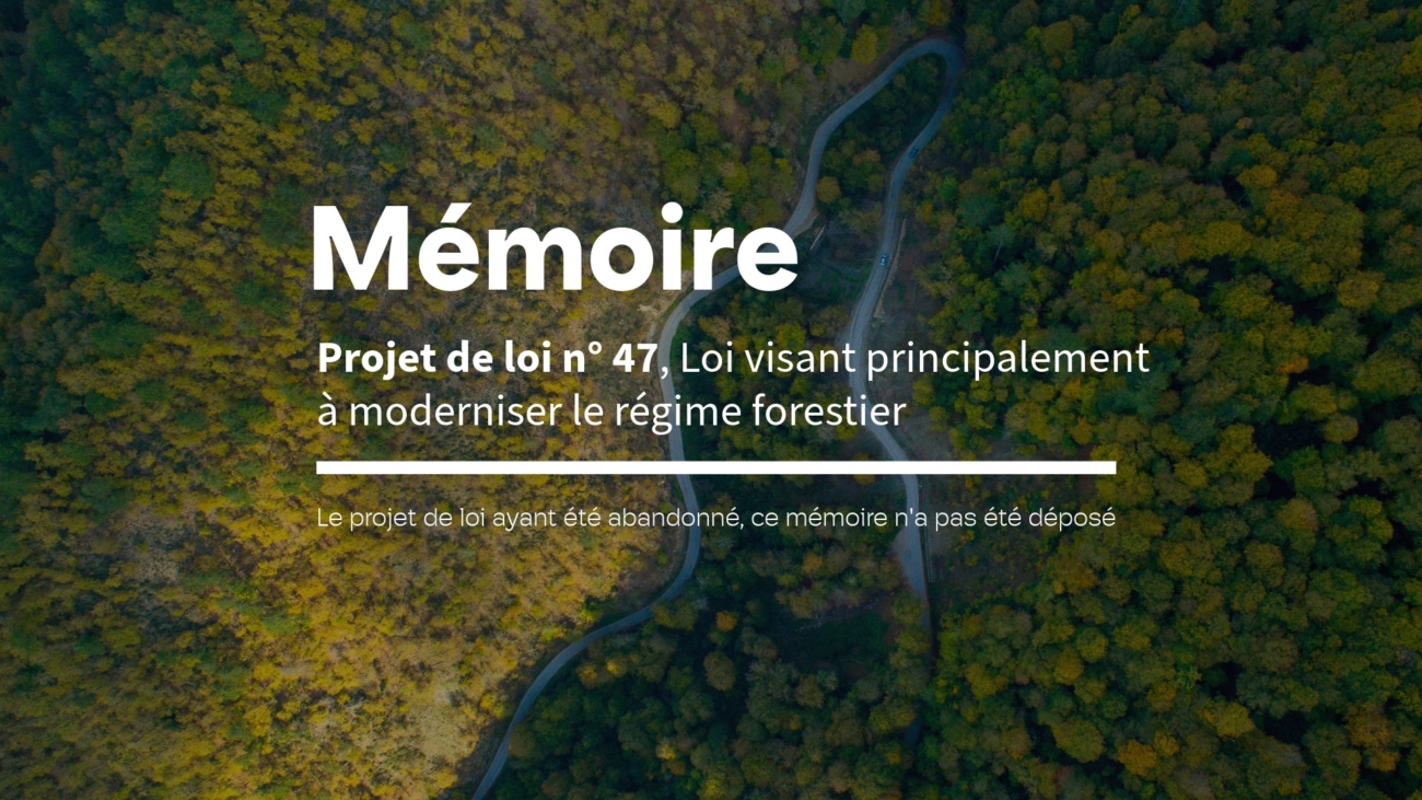 Visuels - Mémoire PL97-2