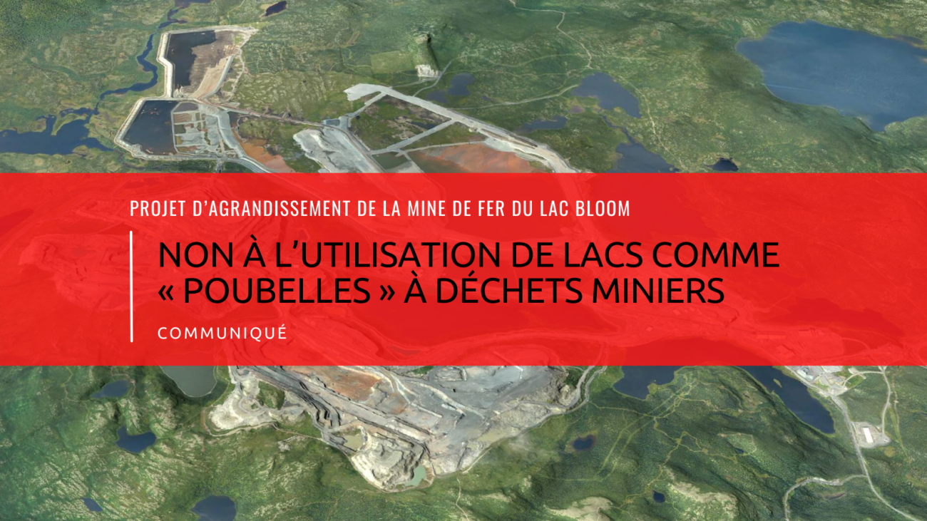 Communiqué_bloom_destroy (1600 x 900 px)