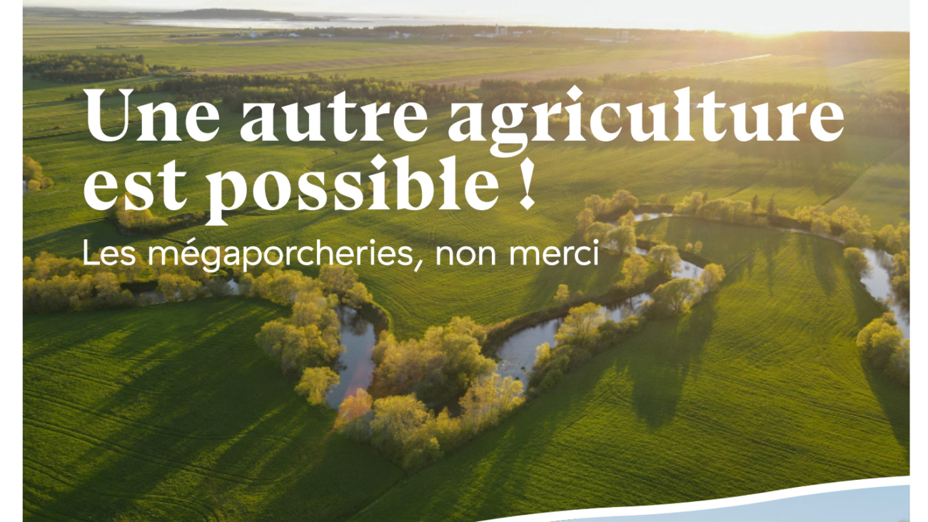 image_rapport_porcheries_02