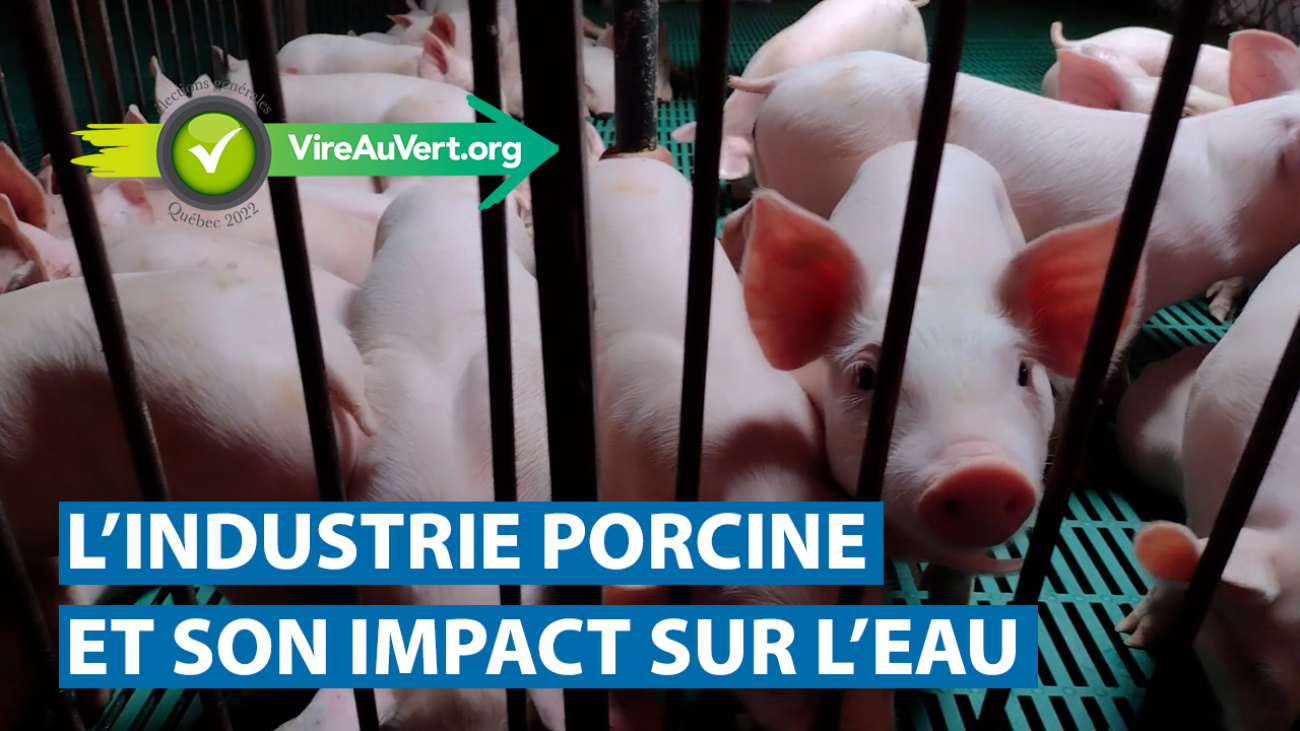 02_lindustrie-porcine_VauV_ES