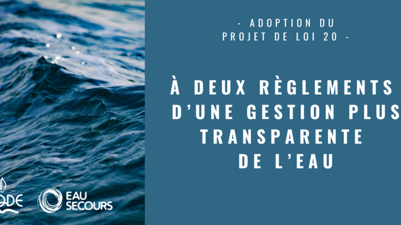 adoption_pl20_visuel