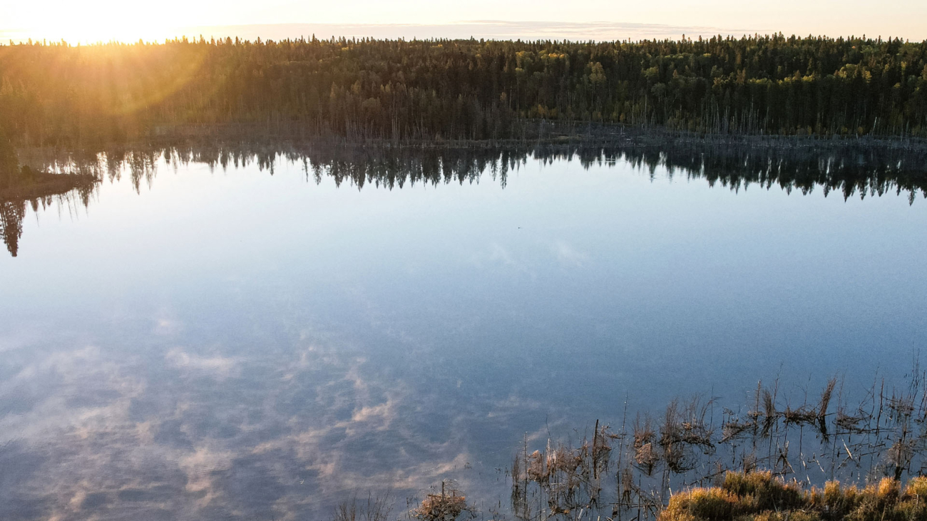 nationalisation_22mars