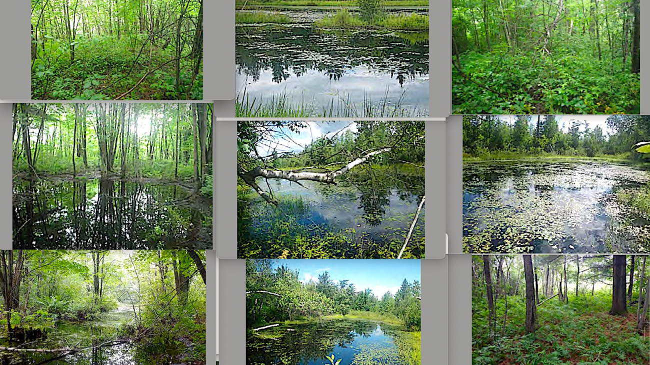 terrain_blainville_stablex