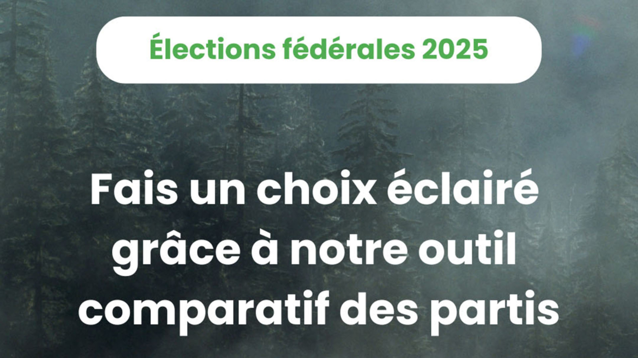 Visuels VauV élections 2025 - Cdp consensus | 4 avril 2025