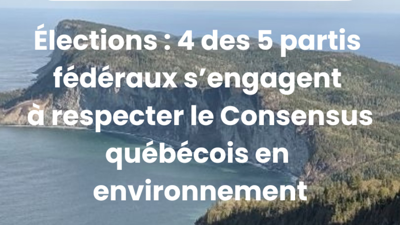 (dans la cours d’Haja) - 6