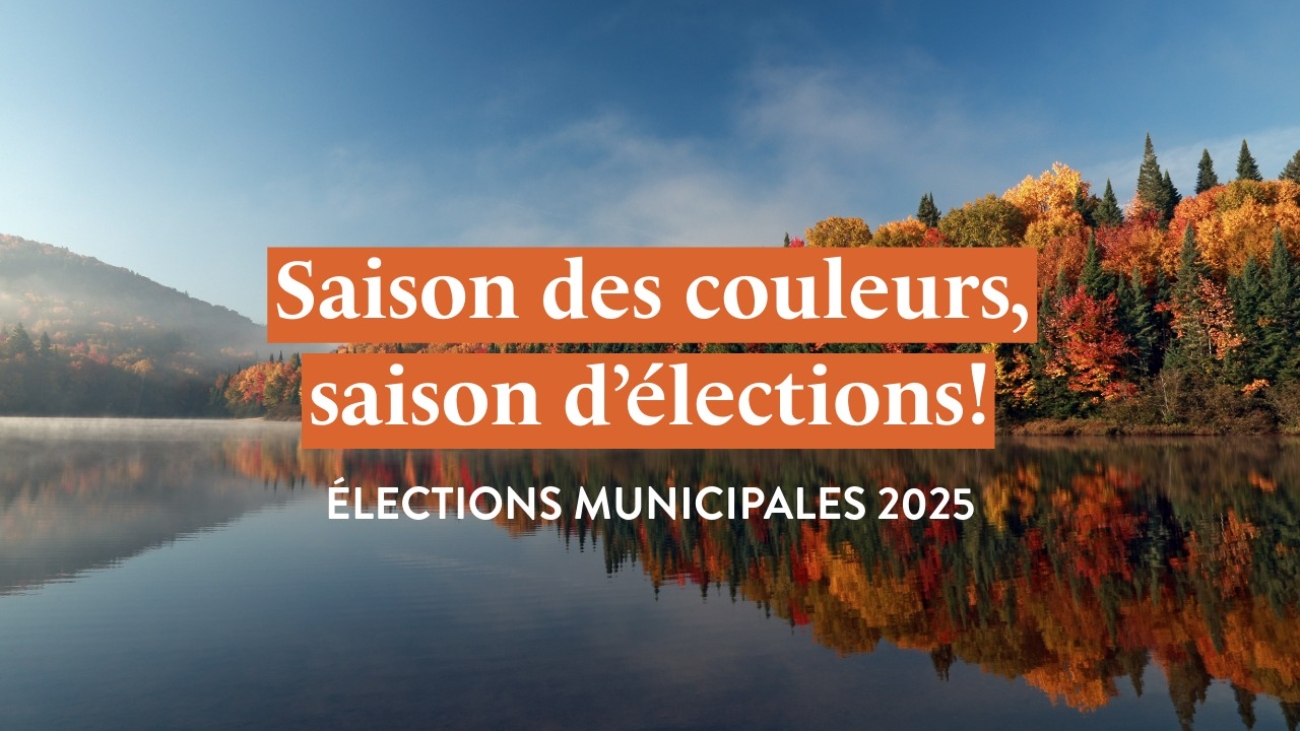 elections_muni_2025-1