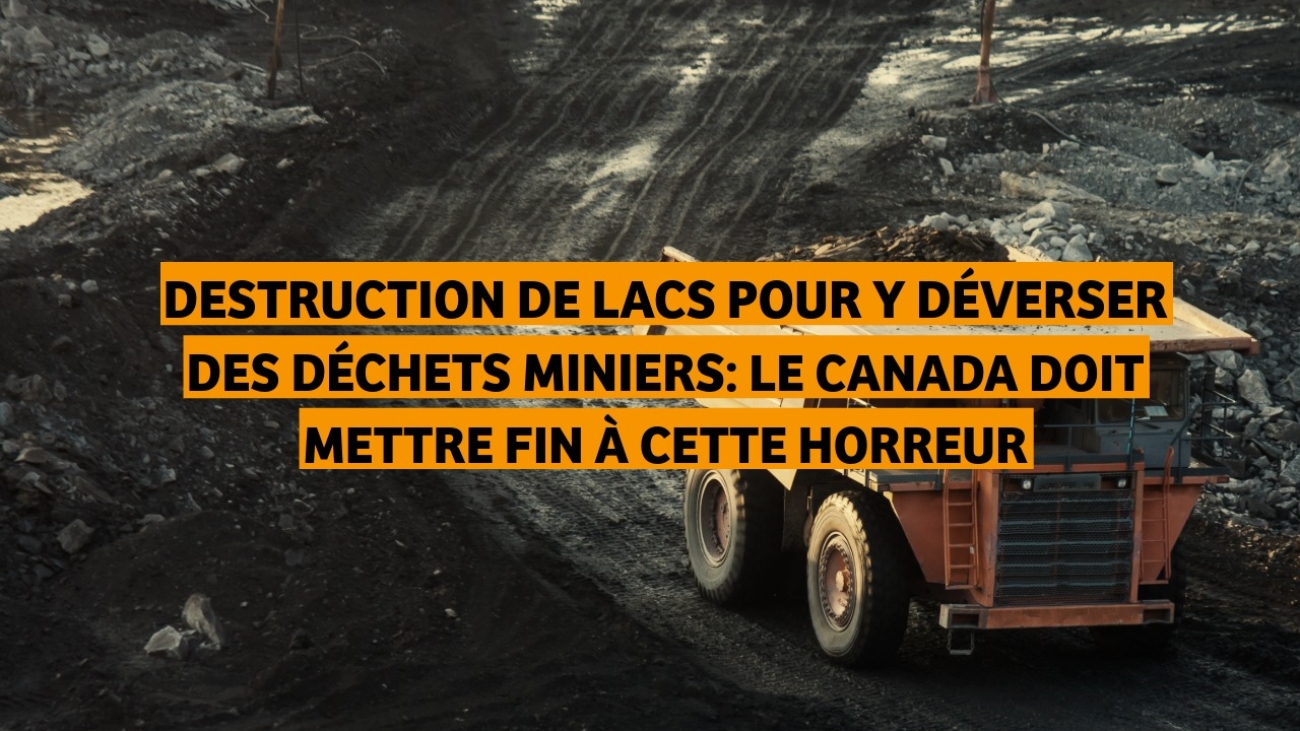 2025-10-31 - destruction de lacs par les mines