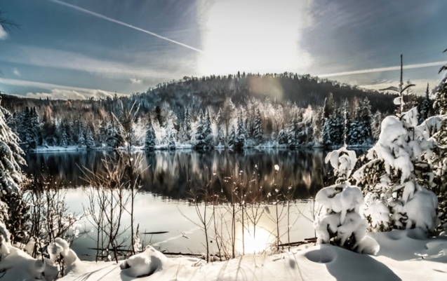 entete-article bilan-1