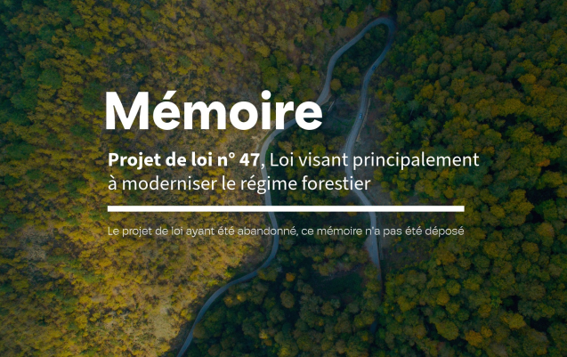 Visuels - Mémoire PL97-2