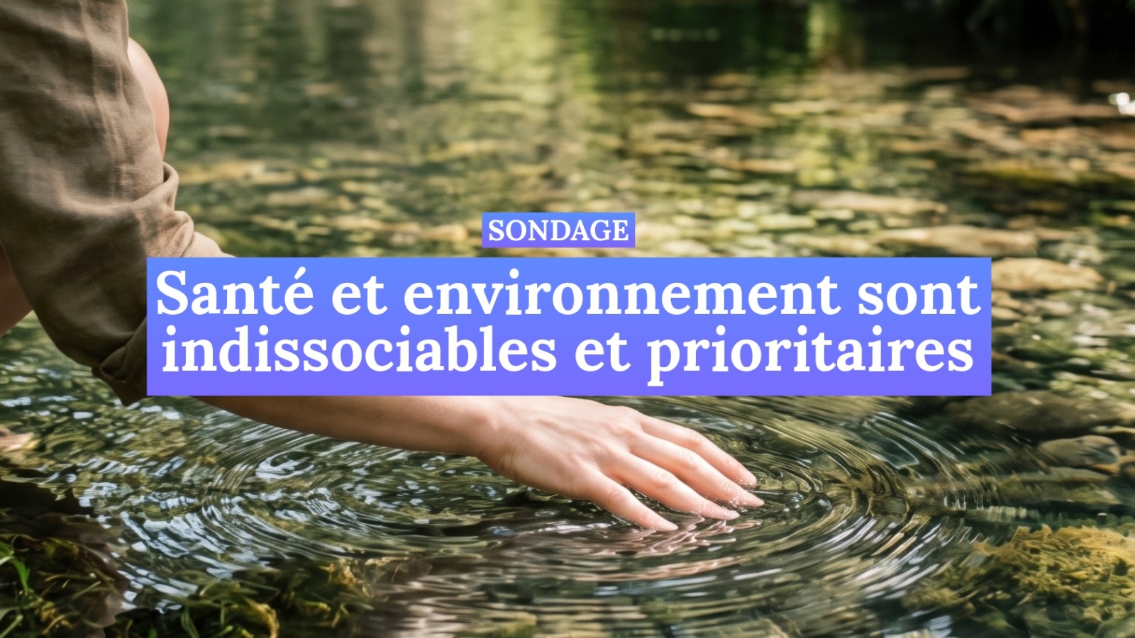 2026-09-15 Sondage Vire au vert-1