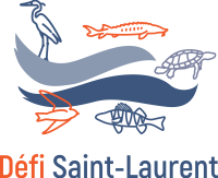 Logo_version fluviale_RGB